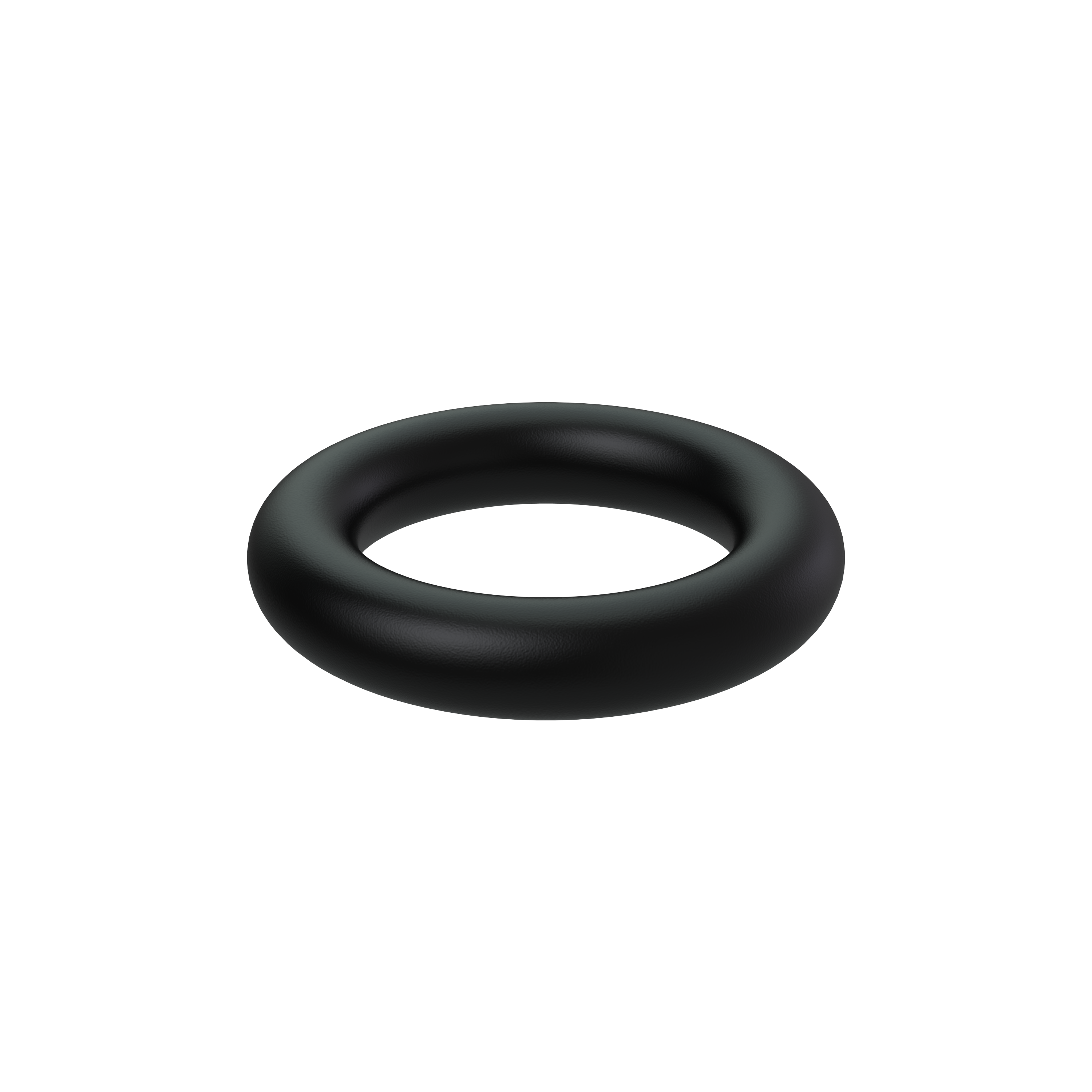 o-ring