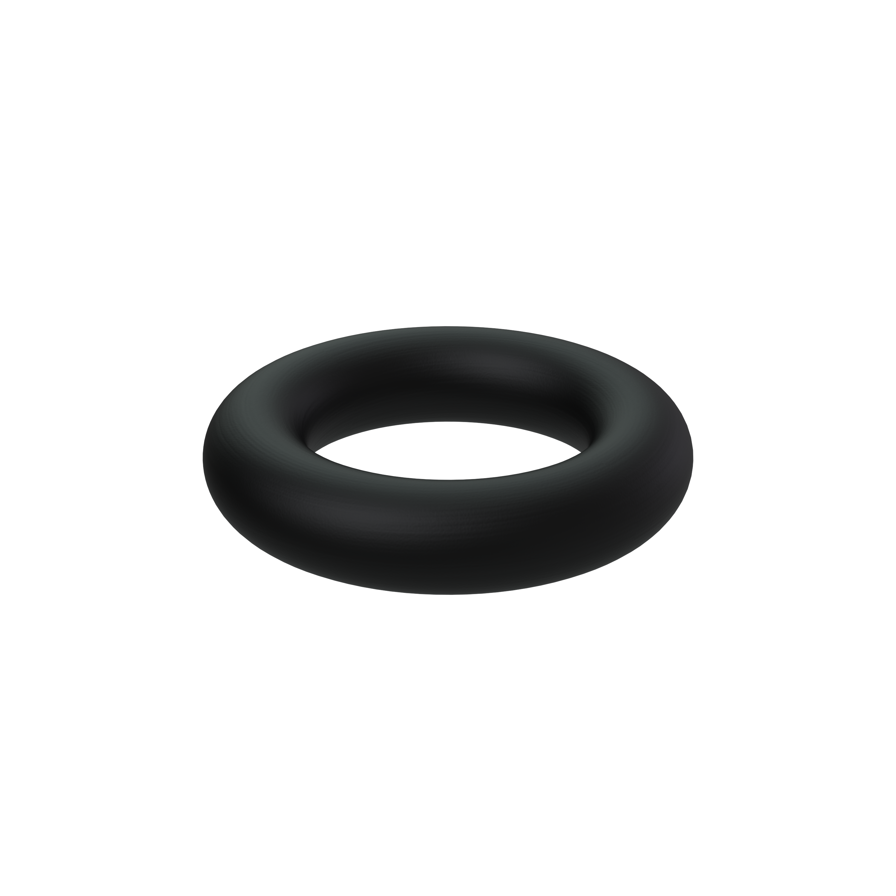 O-ring